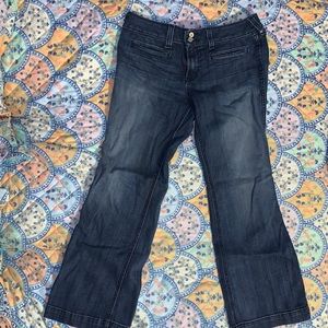 Ariat Denim Trousers (Worn Once) (Size: 31s)